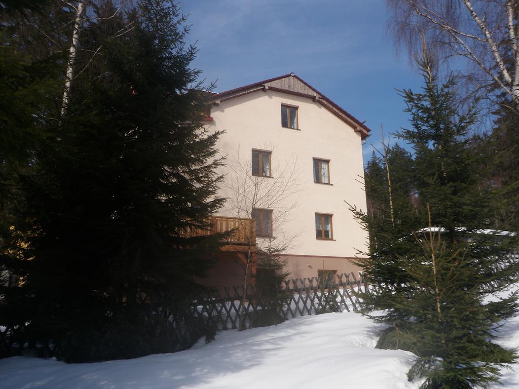Apartmány Domino Železná Ruda Exterior foto